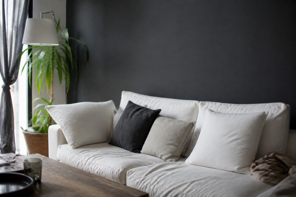 Paroi accent peinte gris anthracite derriere canape blanc